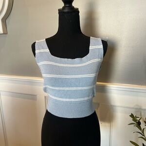 Thread & Supply Light Blue Striped Crop Top